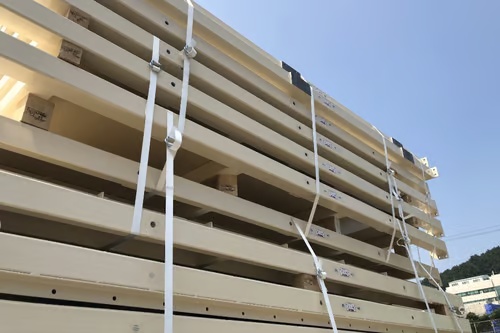 Composite Corded Strap